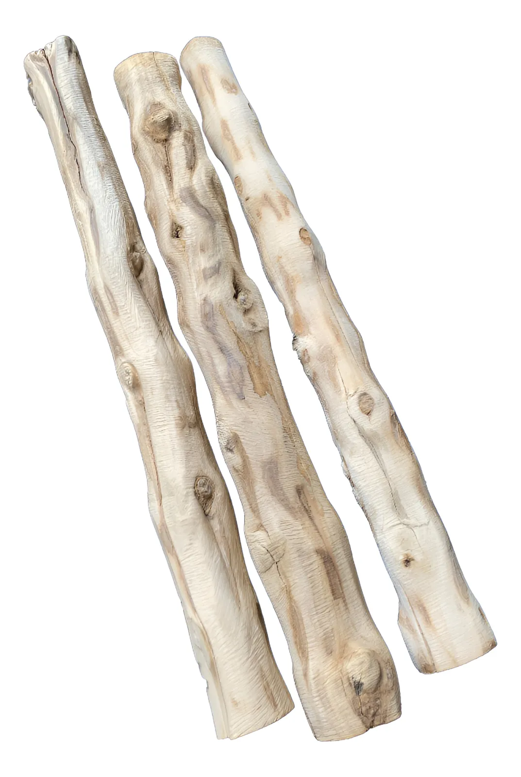 Kit 3 Palos De Café Perro S