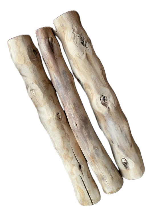 Kit 3 Palos De Café Perro M