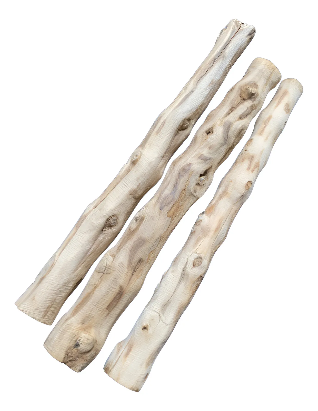 Kit 3 Palos De Café Perro S