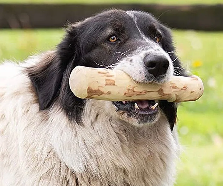 Juguete Palos De Café Perro L