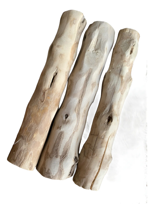 Kit 3 Palos De Café Perro L