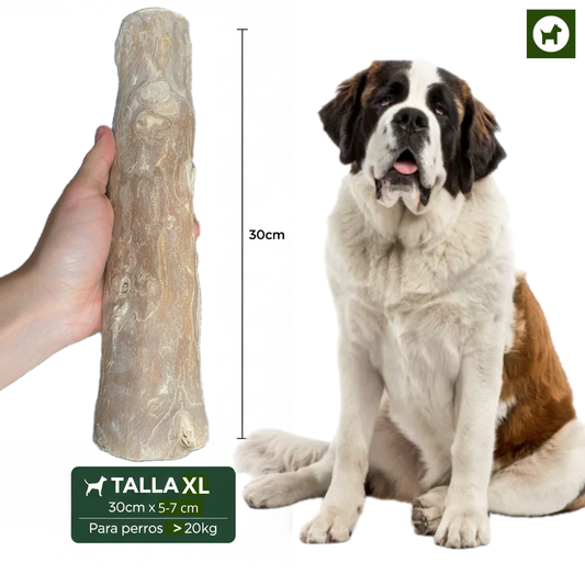 Juguete Palos De Café Perro XL