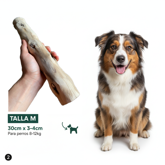 Juguete Perro Palo De Café M