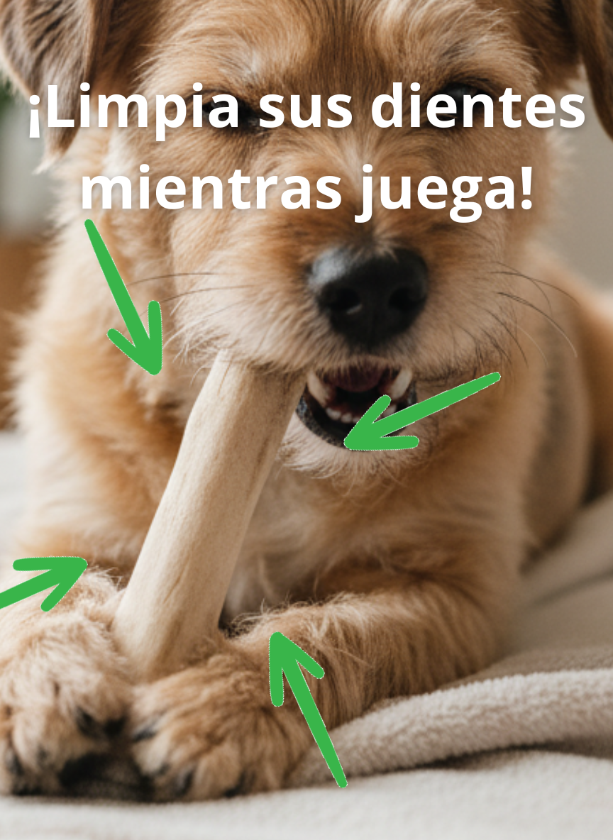 Juguete Palos De Café Perro S