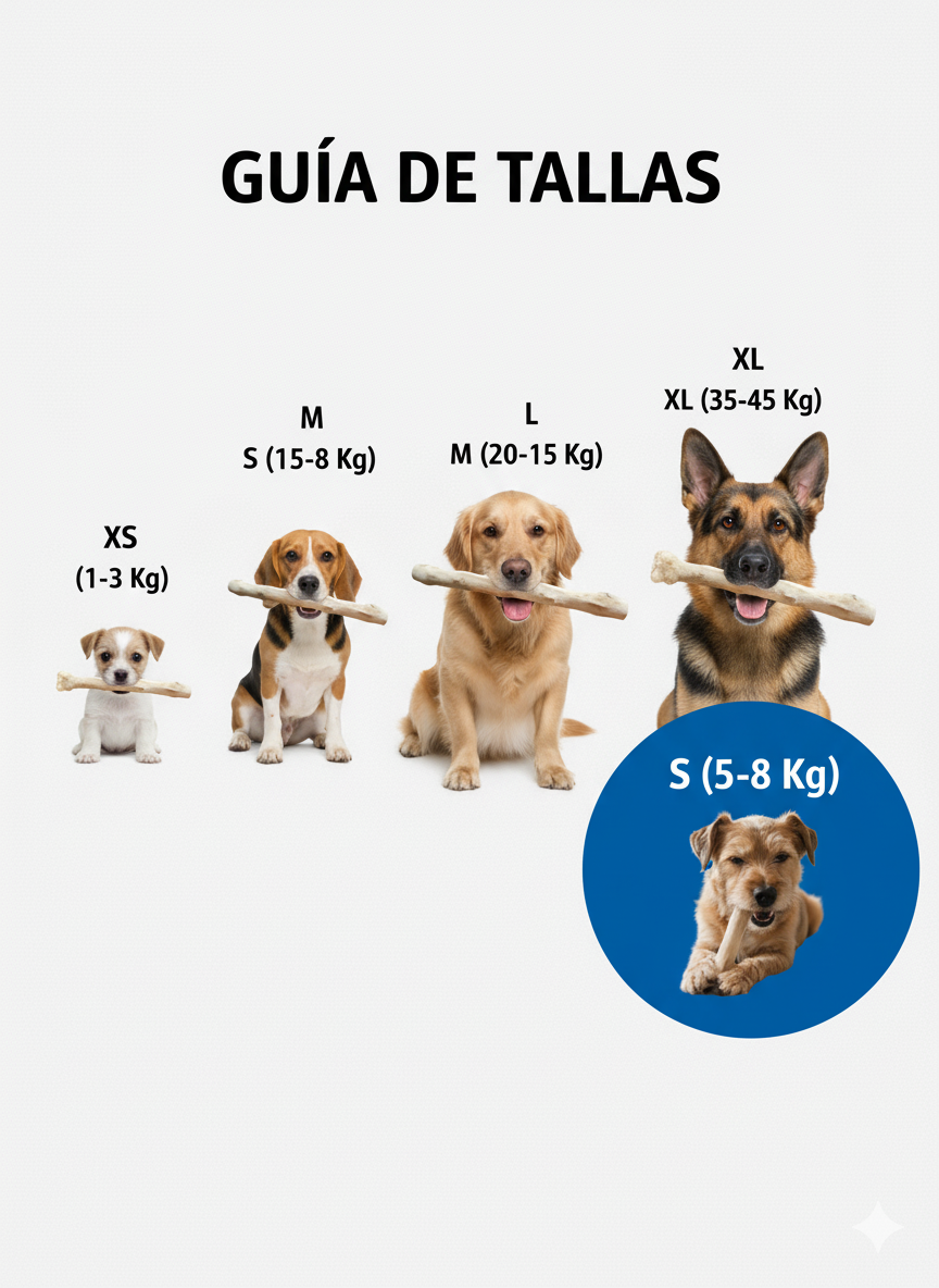 Juguete Palos De Café Perro S