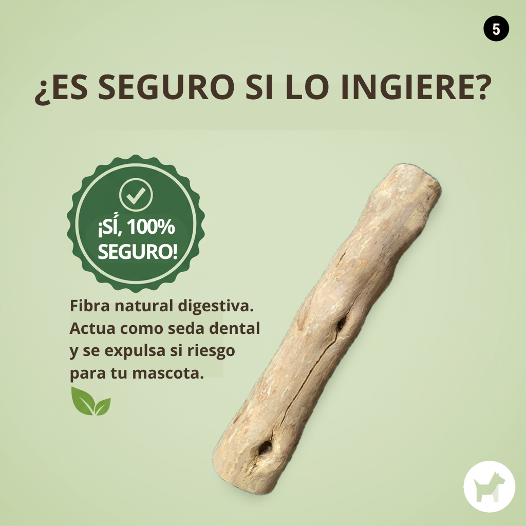 Juguete Perro Palo De Café M