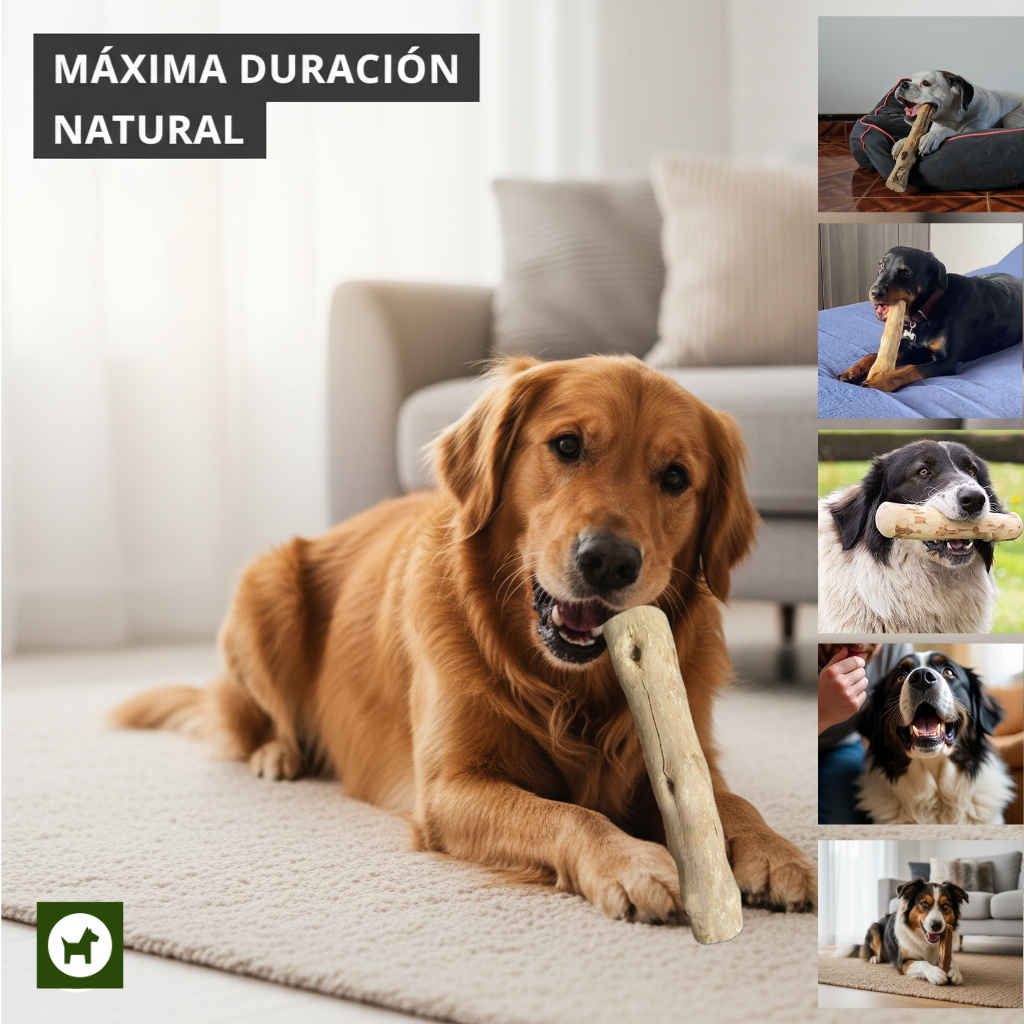 Juguete Palos De Café Perro L