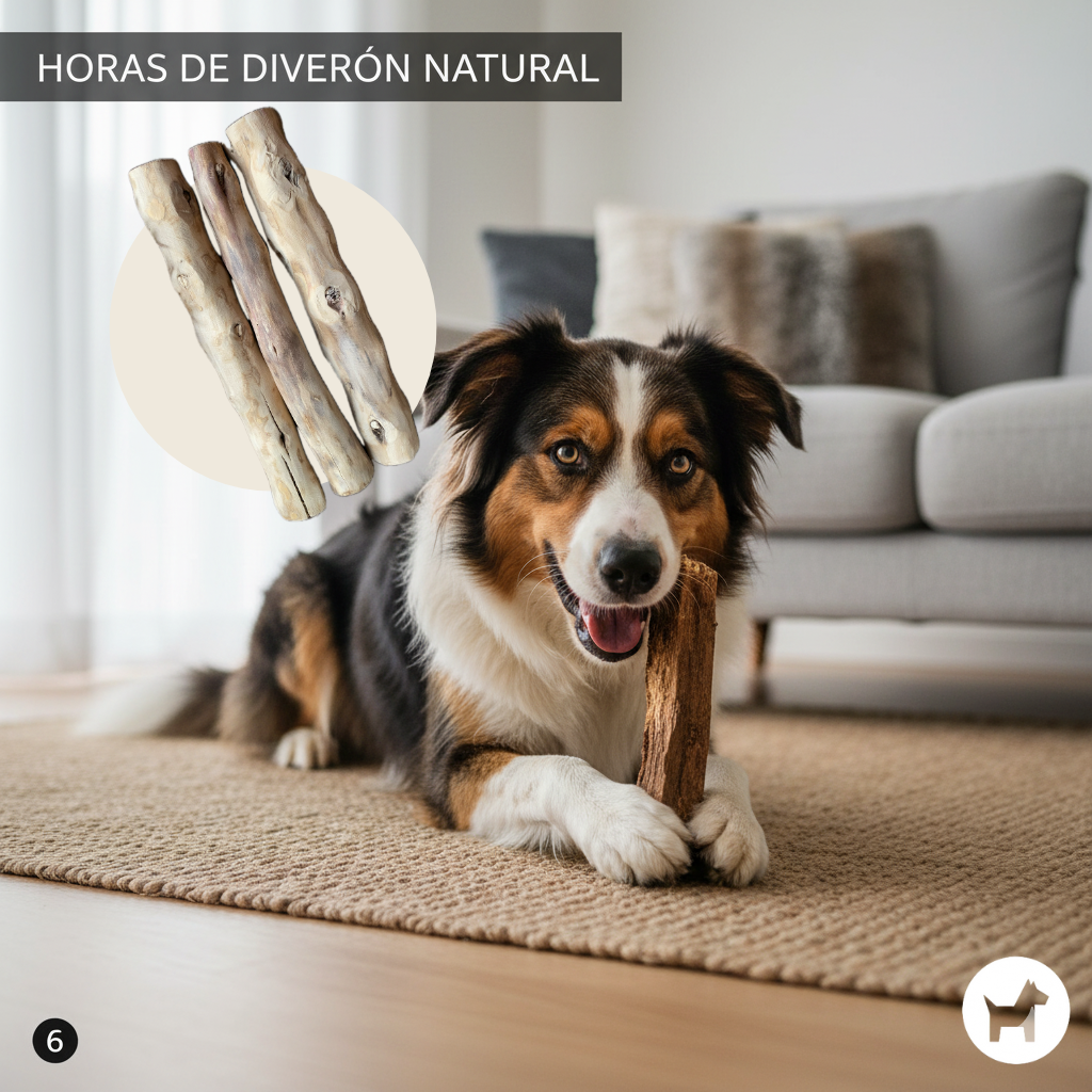 Juguete Perro Palo De Café M