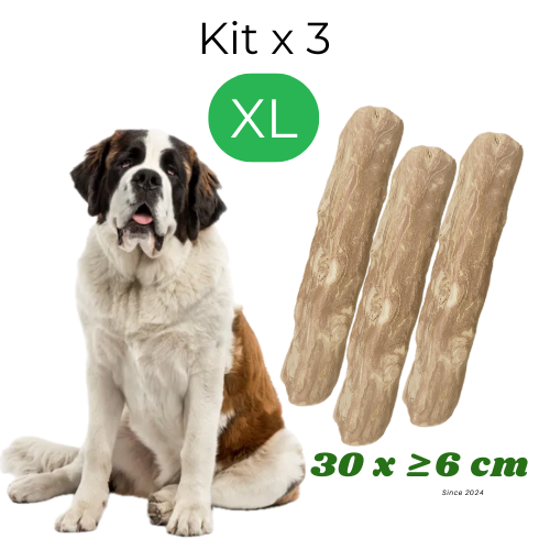 Kit 3 Palos De Café Perro XL