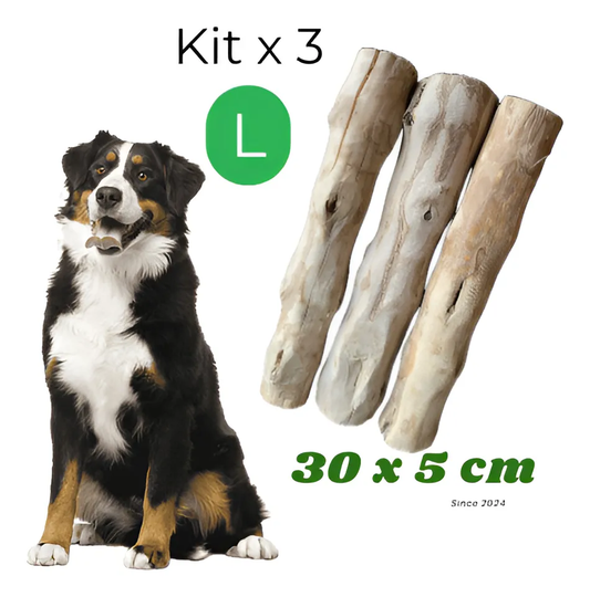 Kit 3 Palos De Café Perro L