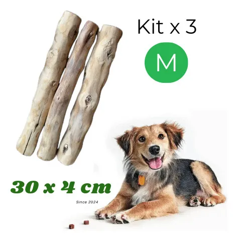 Kit 3 Palos De Café Perro M